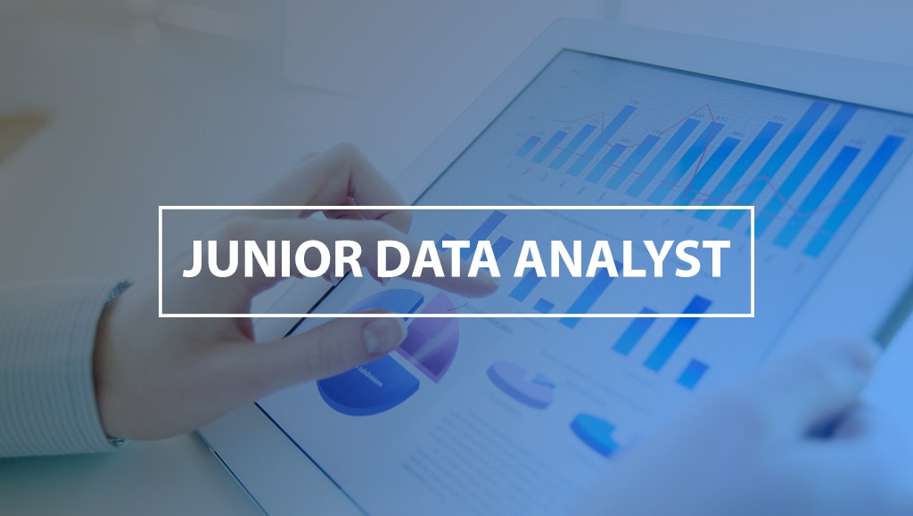 Paul Martin Consulting Group Junior Data Analyst